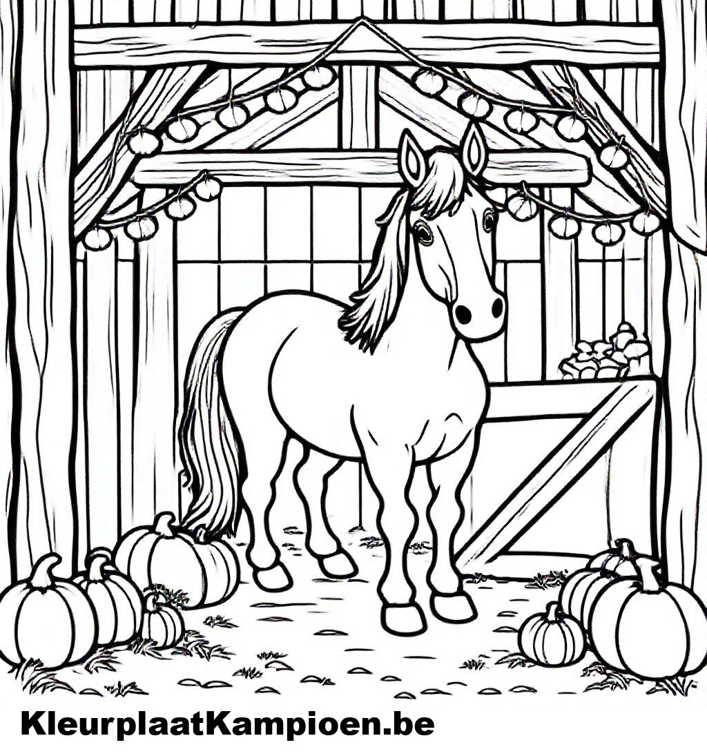 Download En Print Je Favoriete Kleurplaten Voor Een Verjaardag Download En Print Je Favoriete Kleurplaten Voor Een Verjaardag
