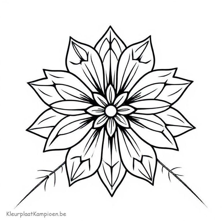 kleurplaat Winter abstract Geometrische winterbloem abstract