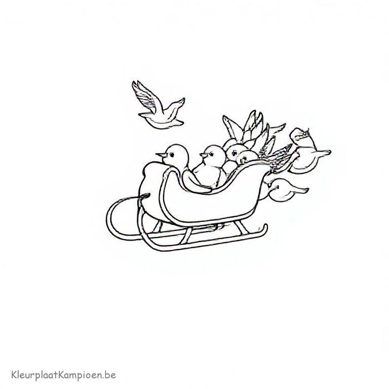 kleurplaat Winter arrenslee getrokken door vogels