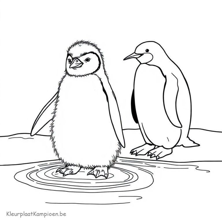 kleurplaat Winter dieren Baby pinguïn die leert zwemmen