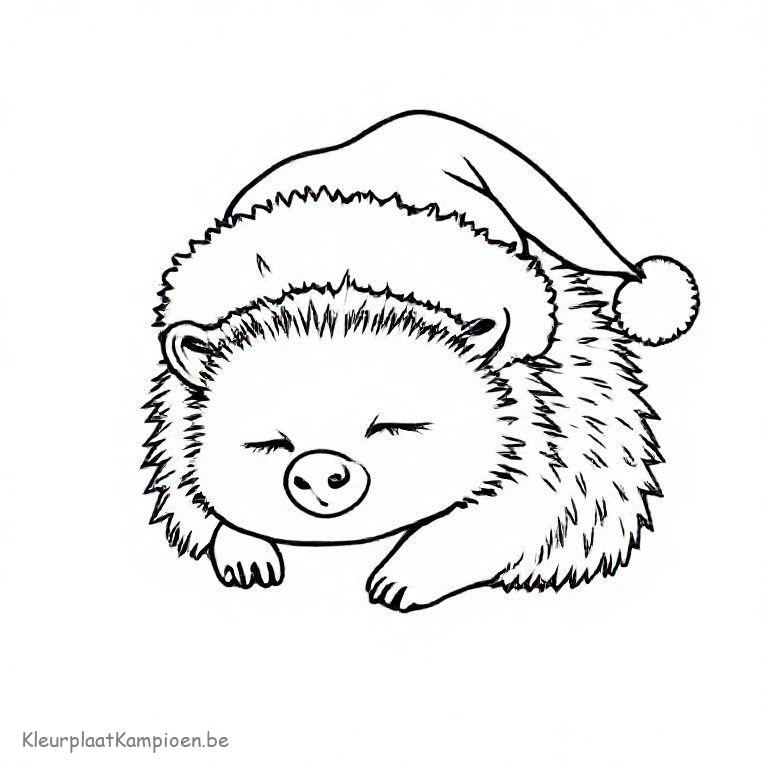 kleurplaat Winter egels in winterslaap Egel met pluizige kerstmuts