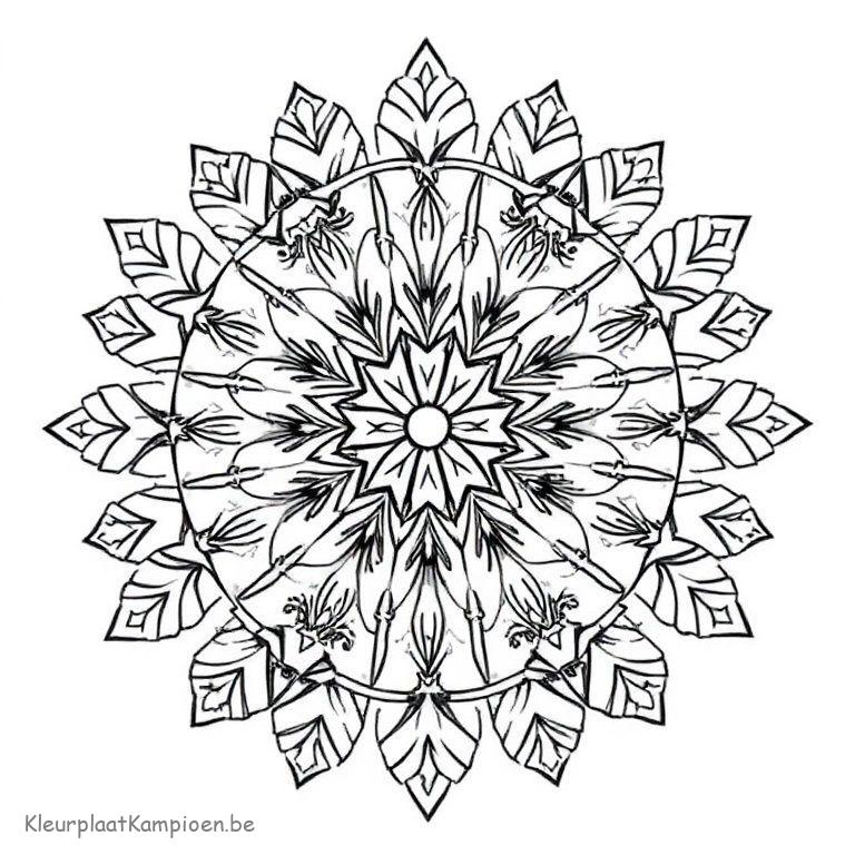 Kleurplaat Winter Mandala Abstracte Winter Mandala Gratis Kleurplaten 