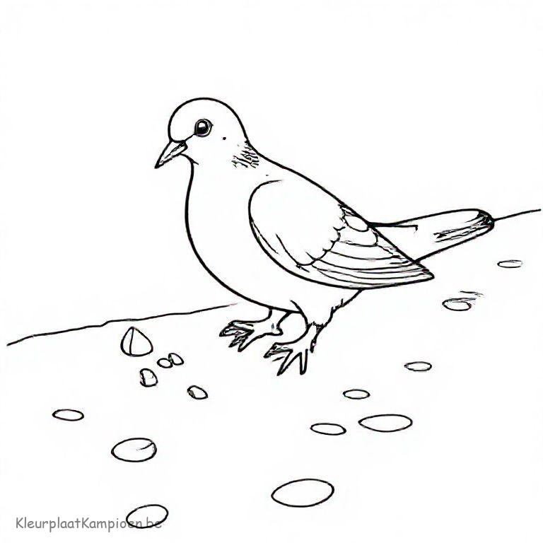 kleurplaat Winter vogels voeren Duif pikt broodkruimels